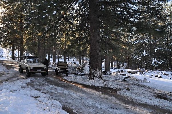 1k.Pines.Ponderosa.Rd.11