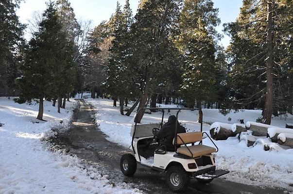 1k.Pines.Ponderosa.Rd.53