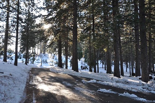 1k.Pines.Ponderosa.Rd.21