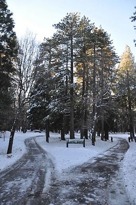 1k.Pines.Ponderosa.Rd.54