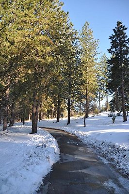 1k.Pines.Ponderosa.Rd.35