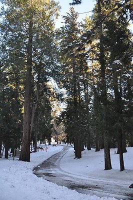 1k.Pines.Ponderosa.Rd.58