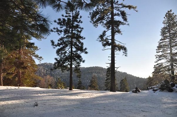 1k.Pines.Ponderosa.Rd.51