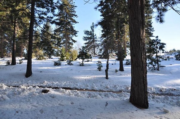 1k.Pines.Ponderosa.Rd.29