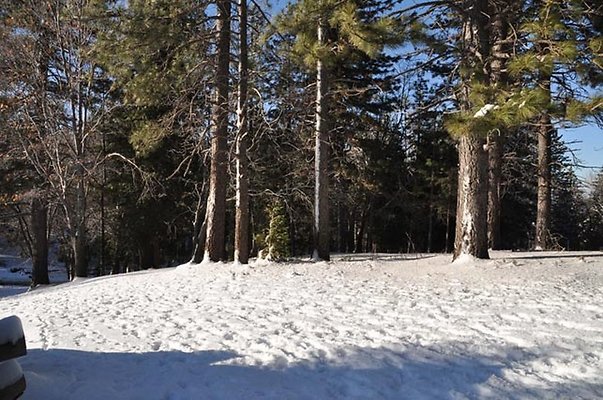 1k.Pines.Ponderosa.Rd.45