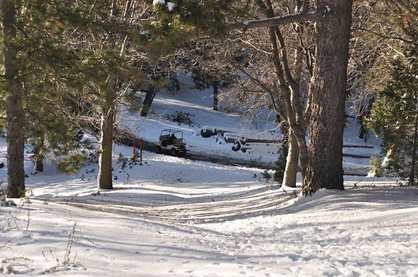 1k.Pines.Ponderosa.Rd.43