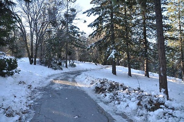 1k.Pines.Ponderosa.Rd.31