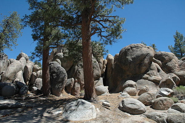 DSC 0096