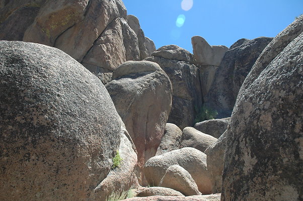 DSC 0054