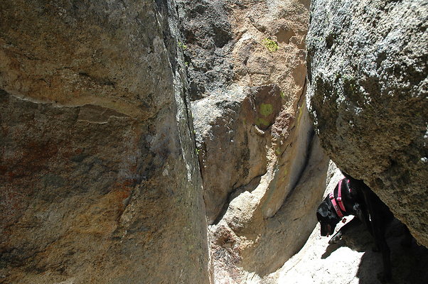 DSC 0093