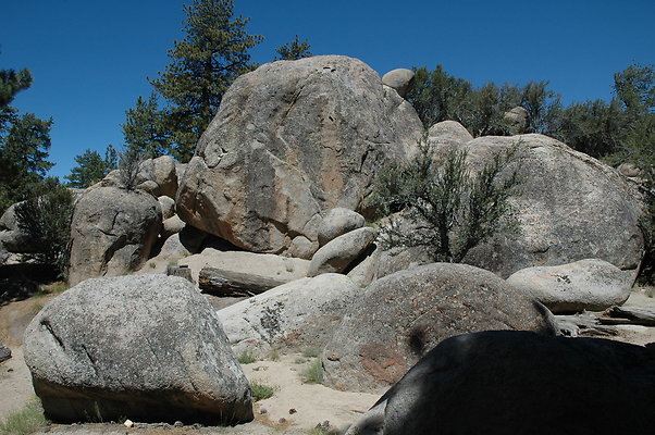 DSC 0061