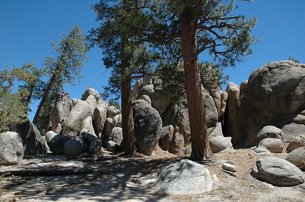 DSC 0095