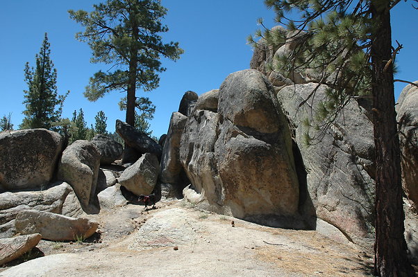 DSC 0084