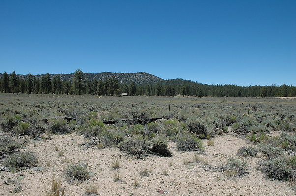 DSC 0139