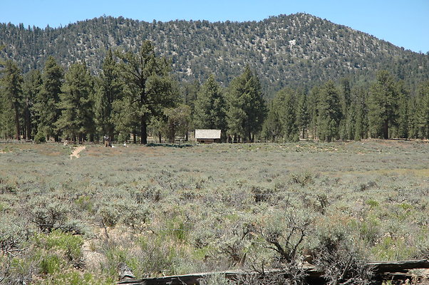 DSC 0140