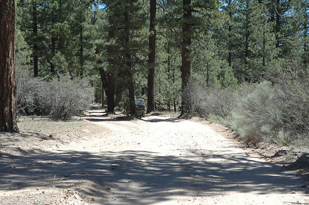 DSC 0033