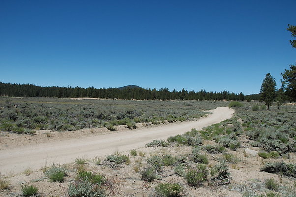 DSC 0150
