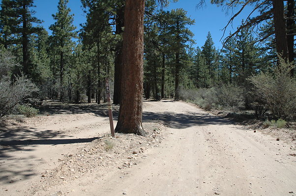 DSC 0031