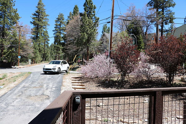 4324 Bow Canyon Rd..B.Bear.06