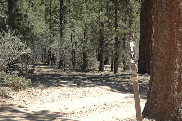 3N07 Forest Service Road