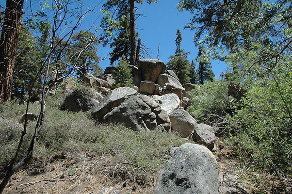 DSC 0098