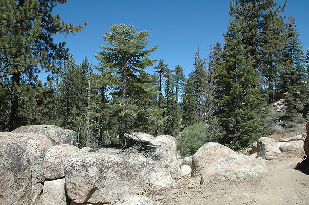 DSC 0100