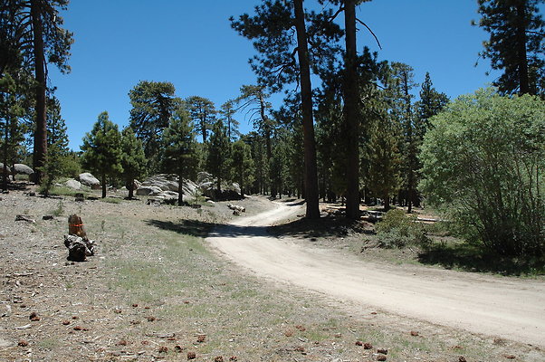 DSC 0169