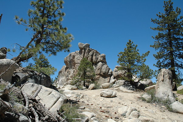 DSC 0172