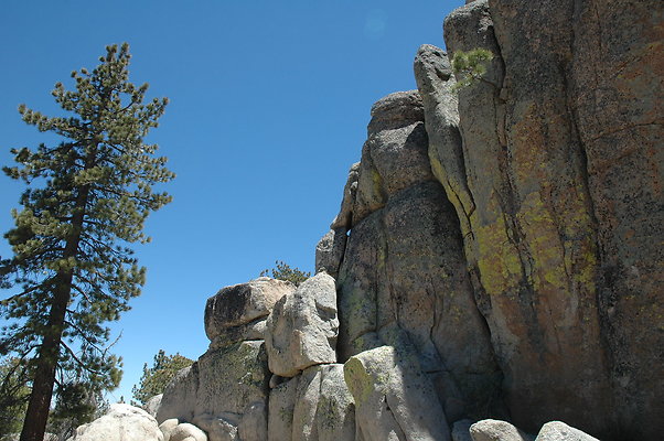 DSC 0174