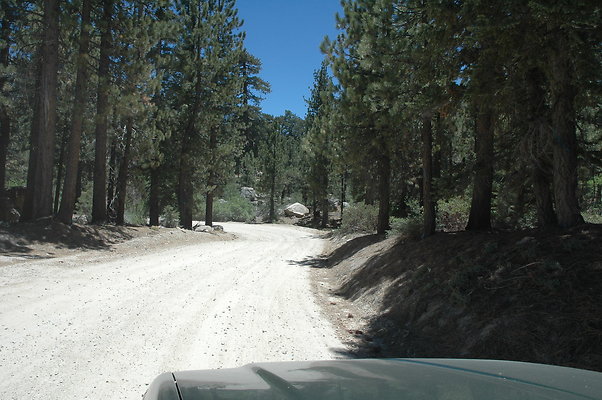 DSC 0190