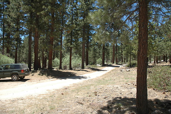 DSC 0171