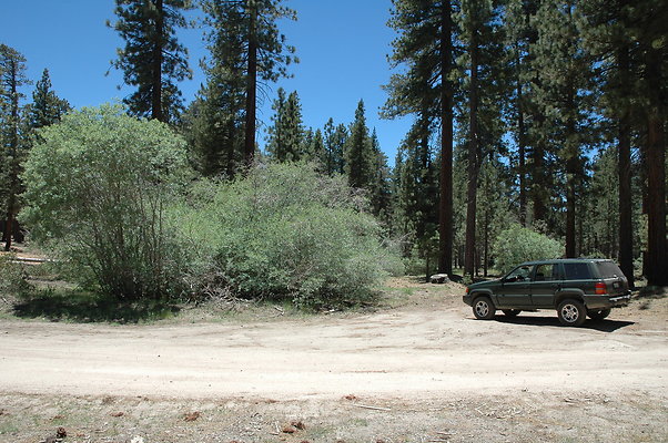 DSC 0170