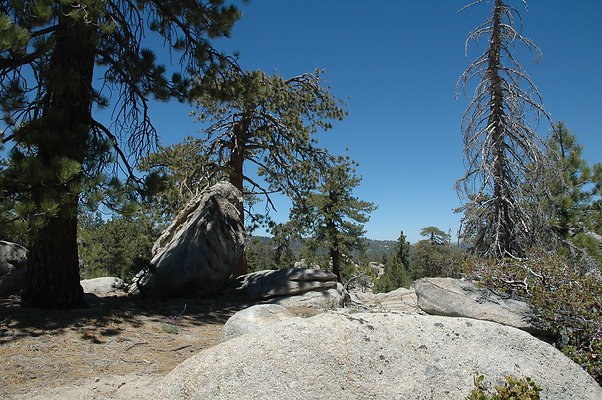 DSC 0178