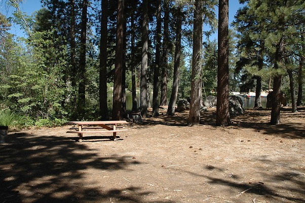 DSC 0051