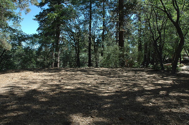 DSC 0006