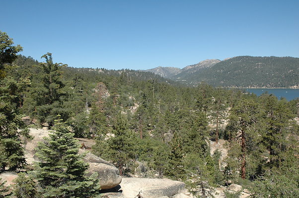 DSC 0025