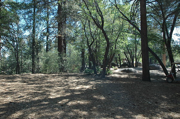 DSC 0003