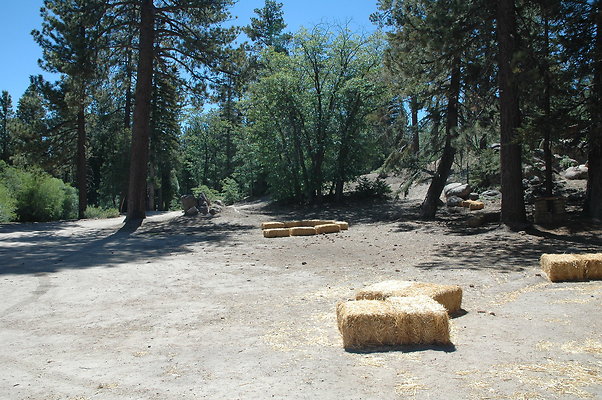 DSC 0058