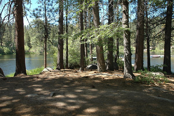 DSC 0047