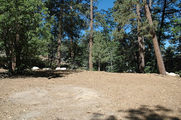 DSC 0005