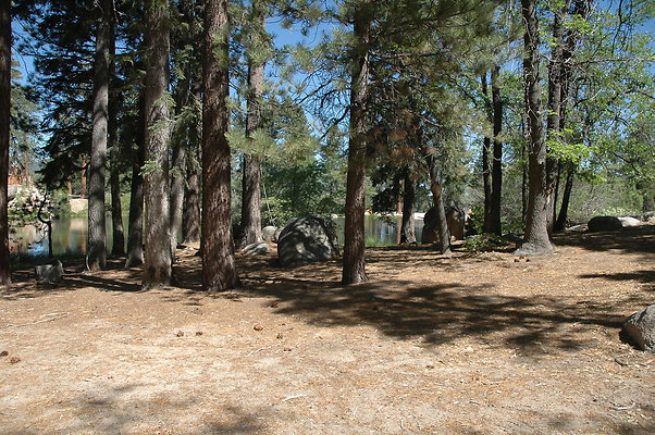 DSC 0050