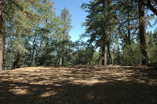 DSC 0001