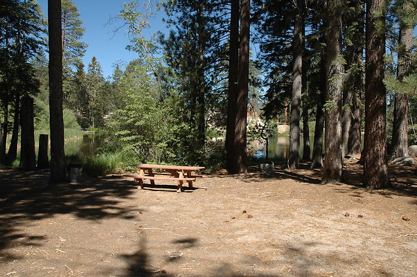 DSC 0049