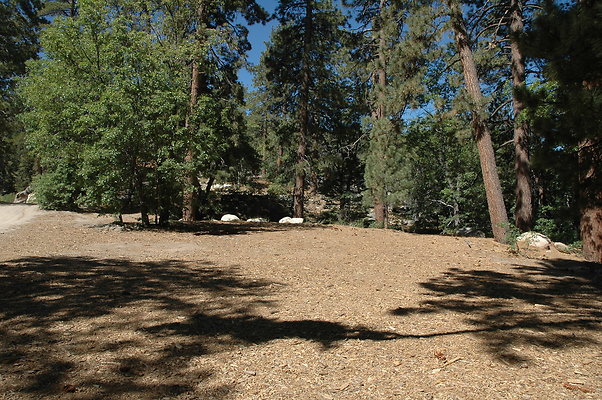 DSC 0004