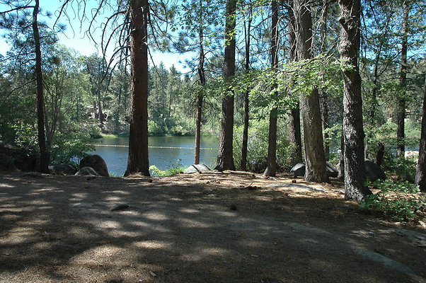 DSC 0045