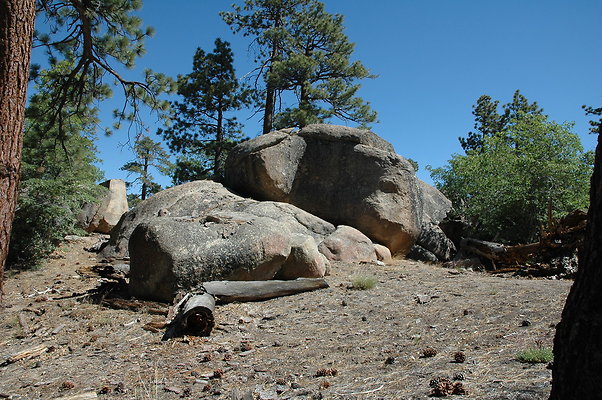 DSC 0016