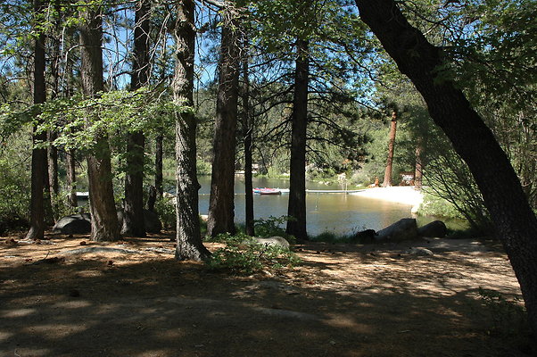 DSC 0046