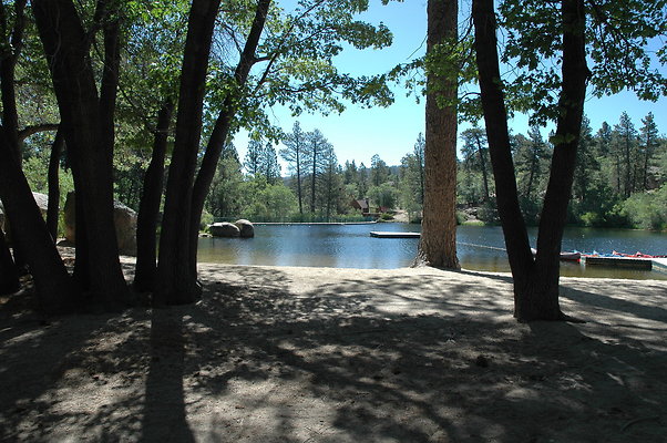 DSC 0015