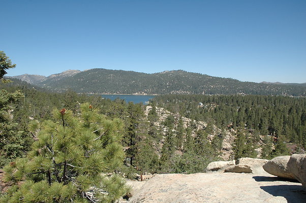 DSC 0020