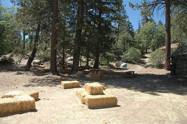 DSC 0059